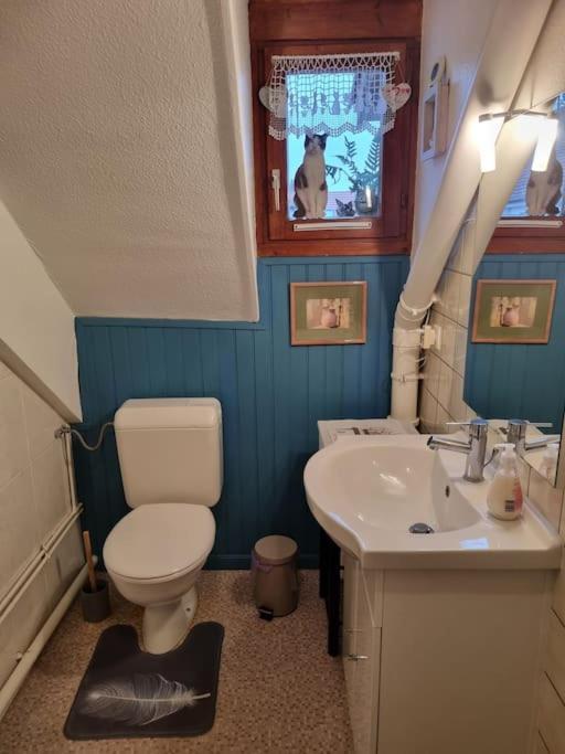 Appartement Centre-Ville コルマール エクステリア 写真